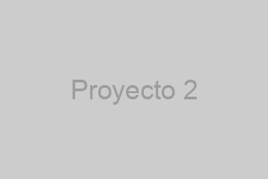 Proyecto de Branding 2